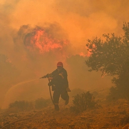 Ifølge en analyse fra tidligere i år døde 61.000 i 2022 som følge af de hedebølger, der omsluttede Europa. (Arkivfoto).